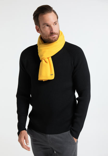 DreiMaster Klassik Men's Schal