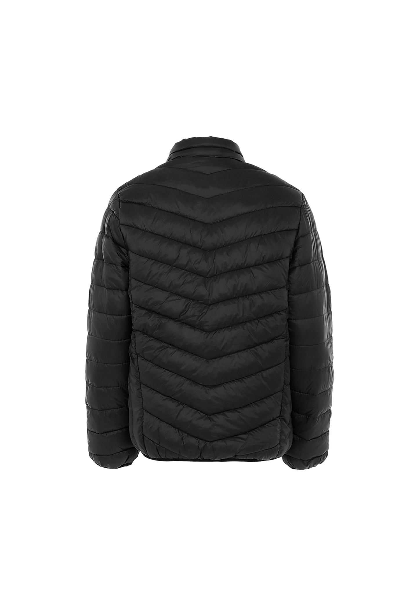 DreiMaster Maritim flyweight Men's Jacket