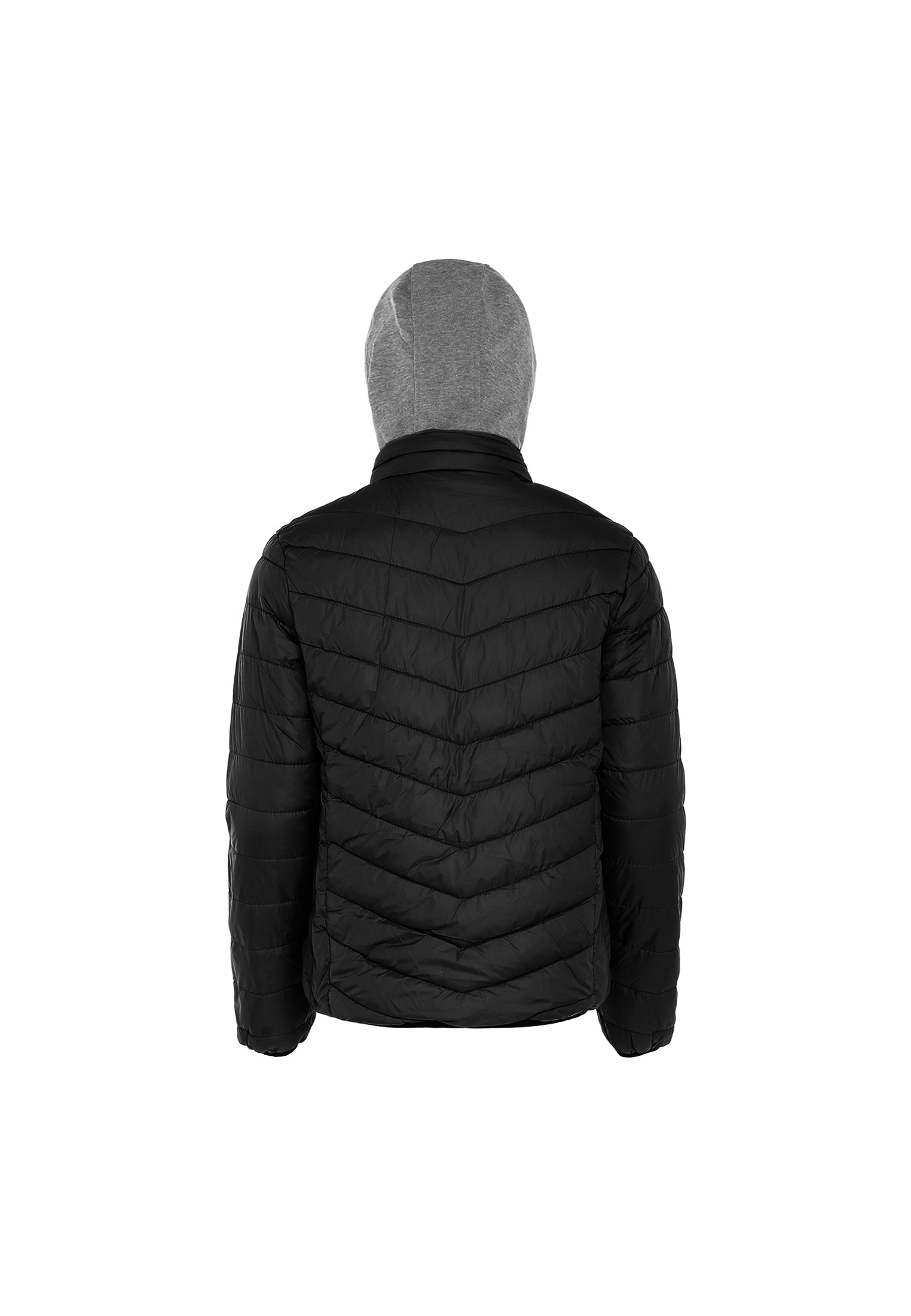 Schmuddelwedda PLUMDALE Men's Jacket